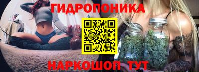 винт Шелехов