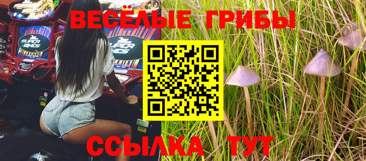Галлюциногенные грибы GOLDEN TEACHER  Вход с VPN  Псилоцибиновые грибы MAGIC MUSHROOMS  Кыштым 